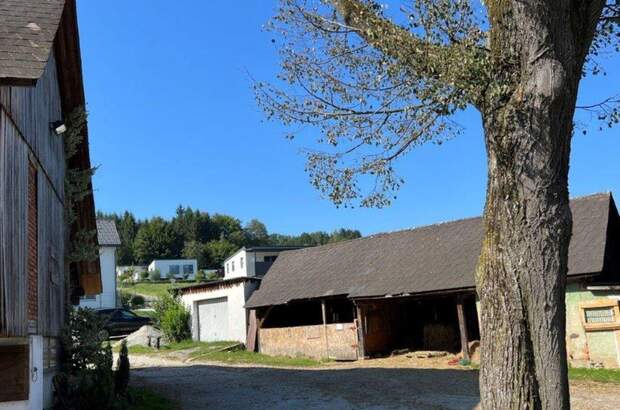 Gewerbeobjekt kaufen in 8570 Stallhofen (Bild 3)