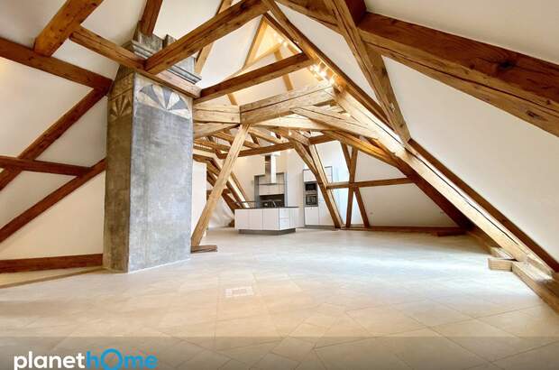Terrassenwohnung mieten in 1010 Wien (Bild 4)