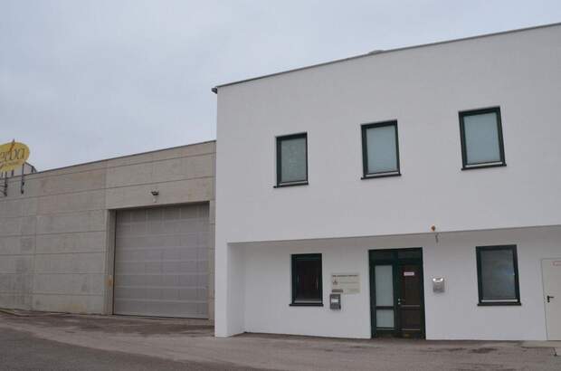 Gewerbeobjekt mieten in 3500 Krems (Bild 1)