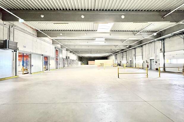 Gewerbeobjekt mieten in 2351 Wiener Neudorf (Bild 5)