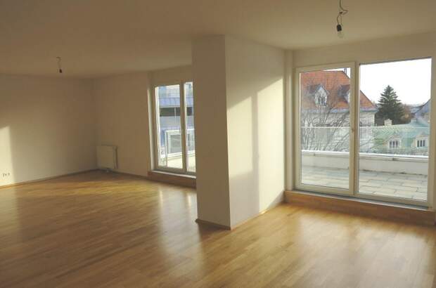 Wohnung mieten in 1190 Wien (Bild 1)