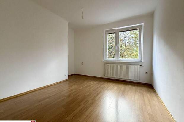 Wohnung mieten in 2340 Mödling (Bild 5)