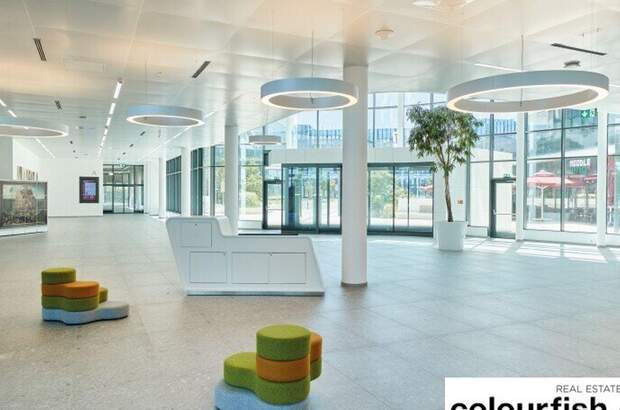 Gewerbeobjekt mieten in 1300 Schwechat (Bild 5)