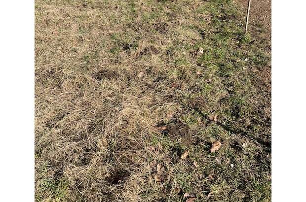 Grundstück kaufen in 2231 Strasshof (Bild 4)