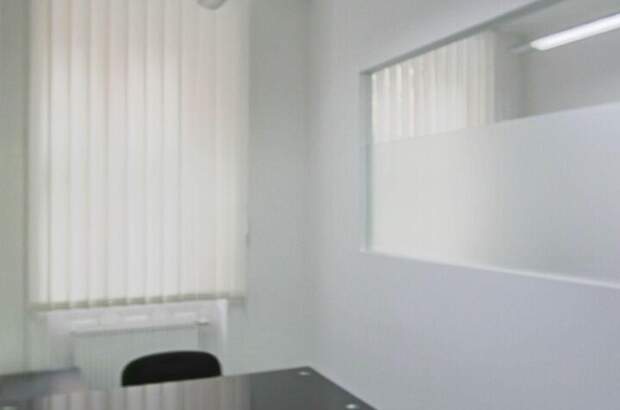 Gewerbeobjekt mieten in 1090 Wien (Bild 4)