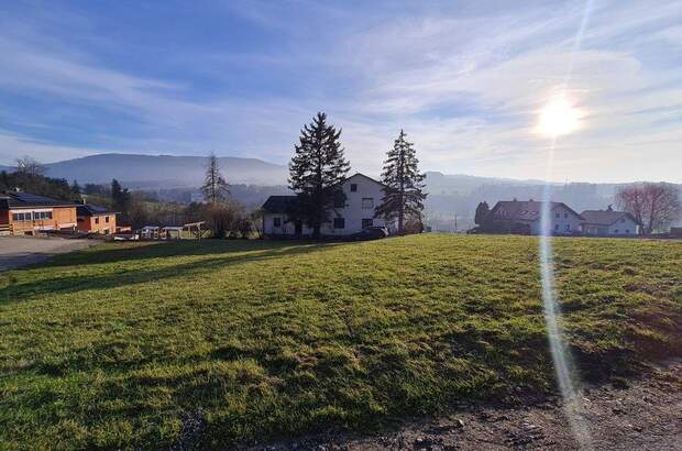 Grundstück kaufen in 4441 Behamberg (Bild 4)