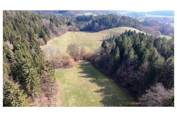 Jagd- und Forstwirtschaft kaufen in 9062 Moosburg (Bild 3)