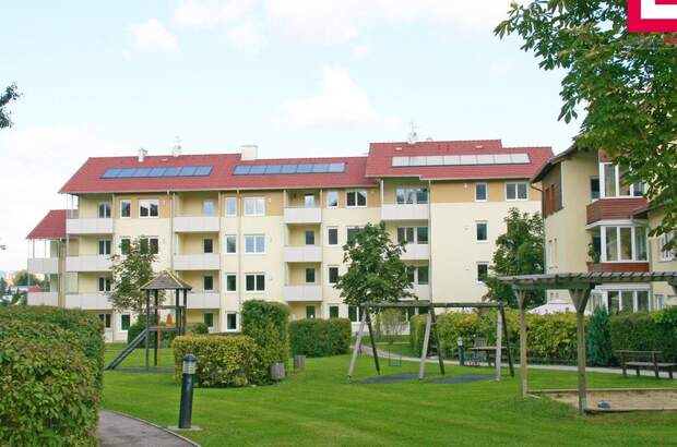 Wohnung mieten in 4560 Kirchdorf (Bild 4)