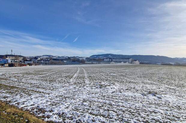 Haus mit Garten kaufen in 4400 Steyr (Bild 5)