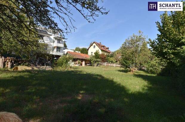 Grundstück kaufen in 8045 Graz (Bild 4)