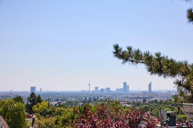 Chalet kaufen in 1190 Wien (Bild 3)