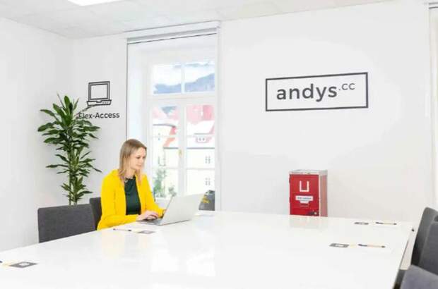 Gewerbeobjekt mieten in 4820 Bad Ischl (Bild 5)