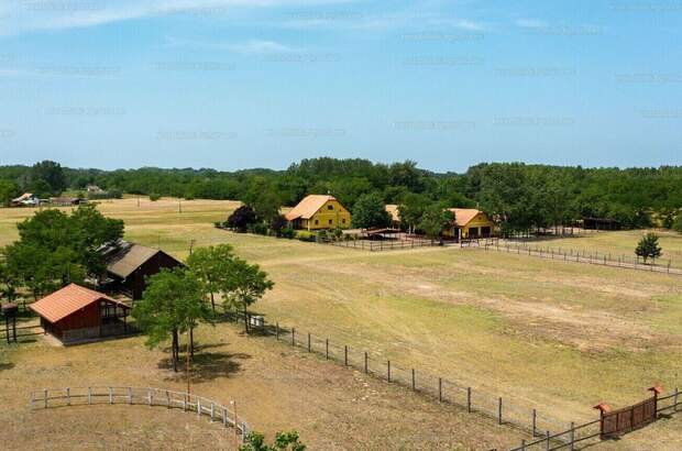 Haus kaufen in 6114 Bugac (Bild 2)