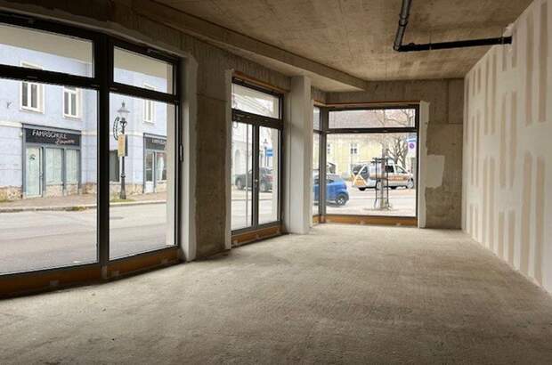 Gewerbeobjekt kaufen in 2000 Stockerau (Bild 1)