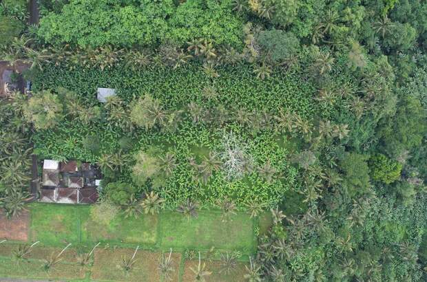 Grundstück kaufen in 80572 Puhu (Bild 1)