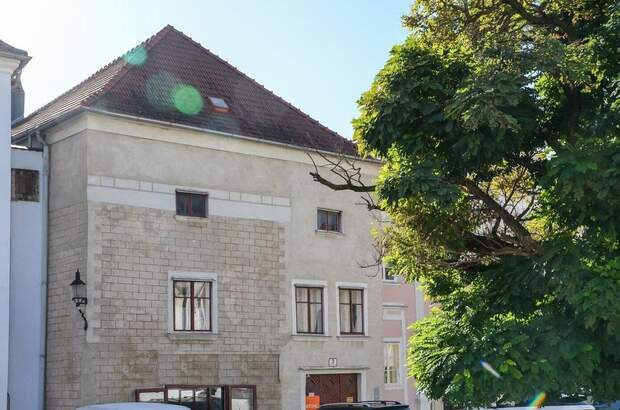 Haus kaufen in 3500 Krems (Bild 1)
