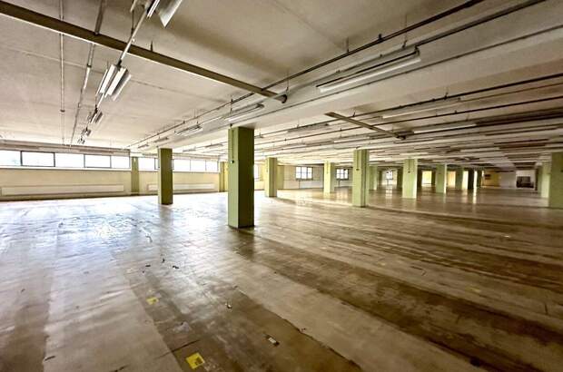 Gewerbeobjekt mieten in 8055 Graz (Bild 3)