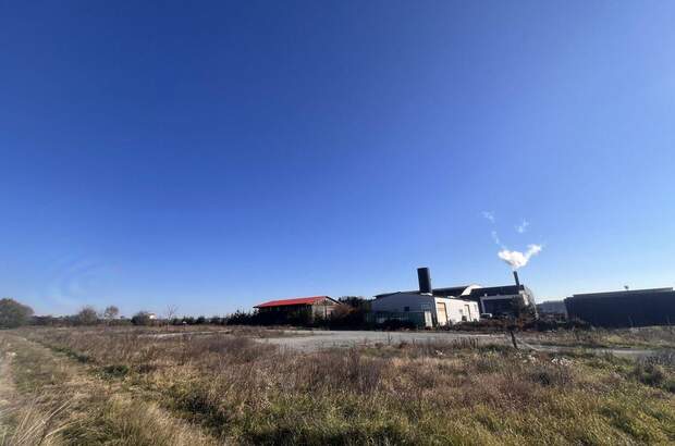 Gewerbeobjekt kaufen in 8430 Kaindorf (Bild 4)