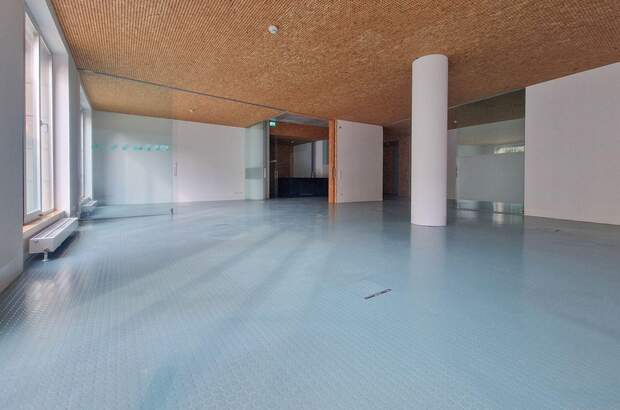Gewerbeobjekt mieten in 5020 Salzburg (Bild 2)