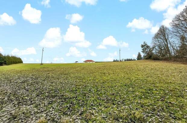 Grundstück kaufen in 7572 Deutsch Kaltenbrunn (Bild 4)