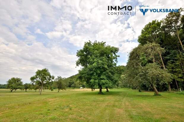 Gewerbeobjekt kaufen in 7473 Hannersdorf