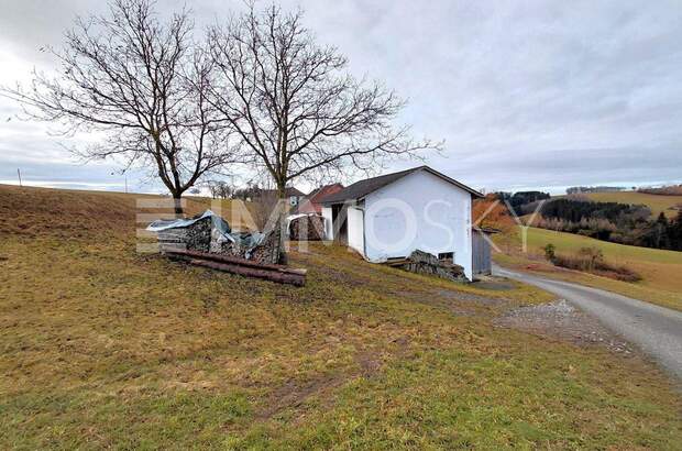 Bauernhaus kaufen in 4730 Waizenkirchen (Bild 4)