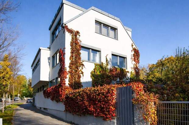 Haus mit Garten kaufen in 1190 Wien (Bild 1)
