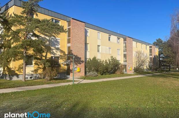 Wohnung kaufen in 2344 Maria Enzersdorf (Bild 1)