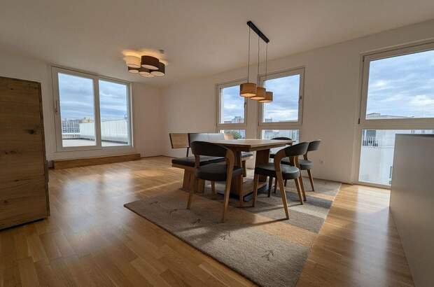 Terrassenwohnung mieten in 1210 Wien (Bild 1)