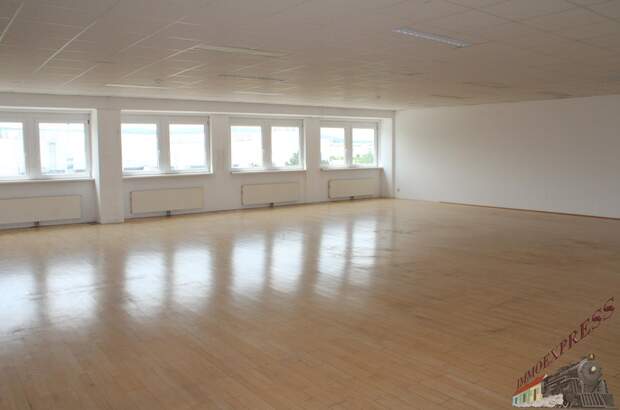 Büro / Praxis mieten in 2351 Wr. Neudorf (Bild 1)