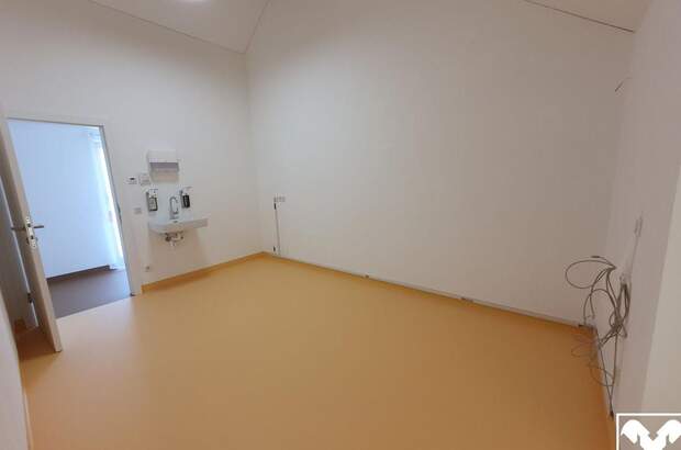 Gewerbeobjekt mieten in 4073 Wilhering (Bild 4)