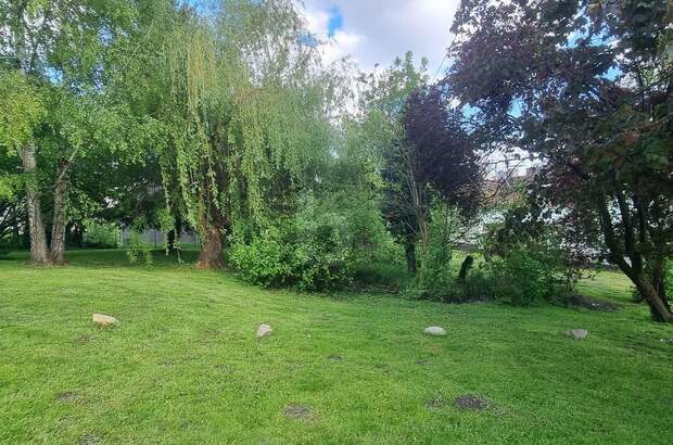 Grundstück kaufen in 3464 Hausleiten (Bild 3)