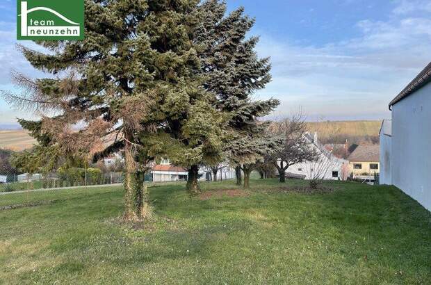 Einfamilienhaus kaufen in 7013 Klingenbach (Bild 4)