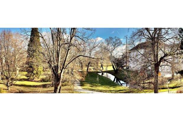 Wohnung mieten in 2540 Bad Vöslau (Bild 2)