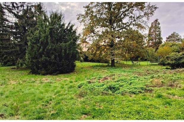 Grundstück kaufen in 1210 Wien (Bild 3)