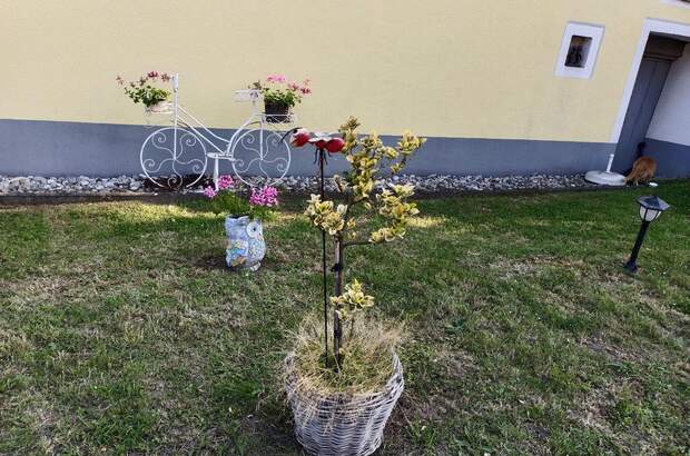 Einfamilienhaus kaufen in 3730 Eggenburg (Bild 4)