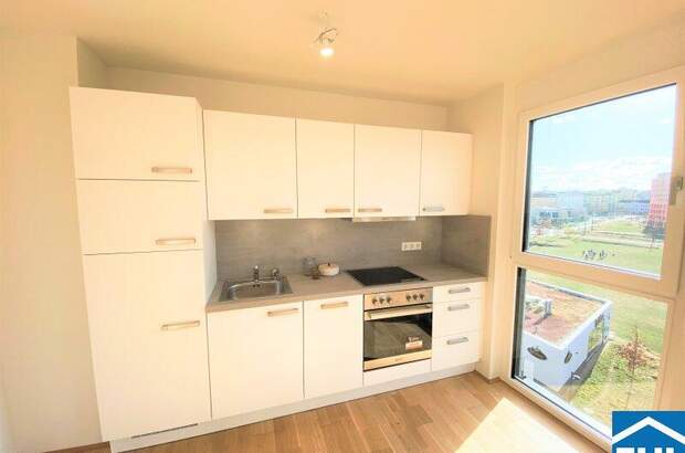 Terrassenwohnung mieten in 1100 Wien (Bild 2)