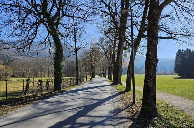 Haus mit Garten mieten in 5026 Salzburg (Bild 3)