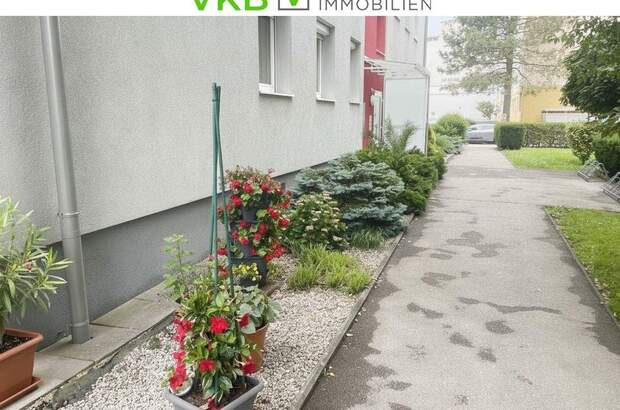 Wohnung kaufen in 4470 Enns (Bild 5)