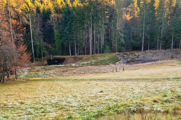 Gewerbeobjekt kaufen in 8510 Stainz (Bild 2)
