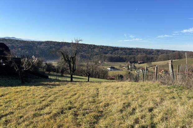 Grundstück kaufen in 8352 Unterlamm (Bild 5)