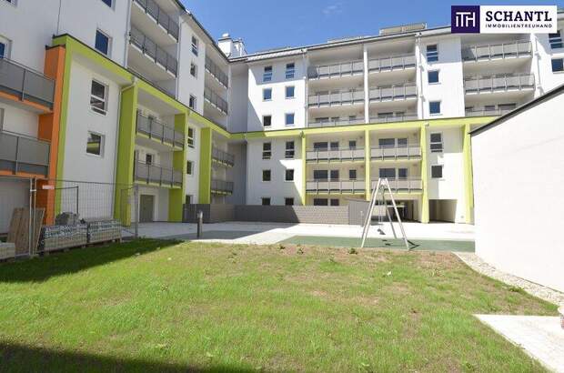 Terrassenwohnung mieten in 2320 Schwechat (Bild 3)