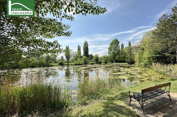 Wohnung kaufen in 1210 Wien (Bild 3)