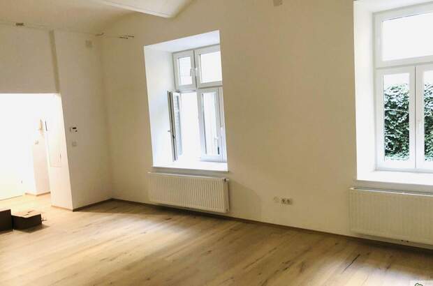 Gewerbeobjekt mieten in 1090 Wien (Bild 2)