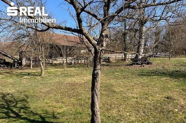 Haus kaufen in 7431 Bad Tatzmannsdorf (Bild 2)