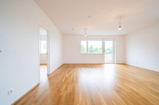 Terrassenwohnung mieten in 3250 Wieselburg (Bild 2)