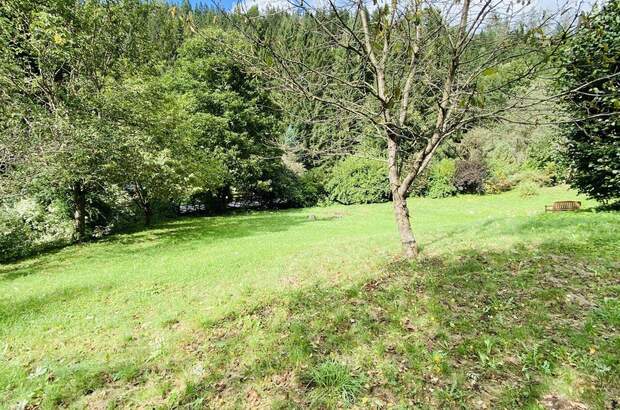 Grundstück kaufen in 8741 Weißkirchen (Bild 1)