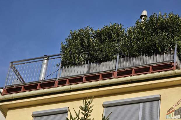 Terrassenwohnung kaufen in 1120 Wien (Bild 3)