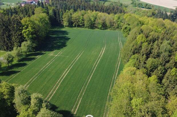 Gewerbeobjekt kaufen in 4076 St. Marienkirchen (Bild 2)