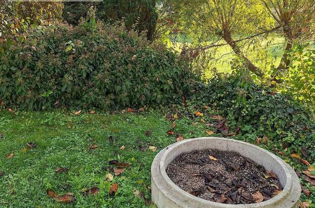 Grundstück mieten in 4491 Dörfl (Bild 5)